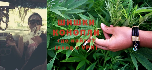 гидропоника Алзамай