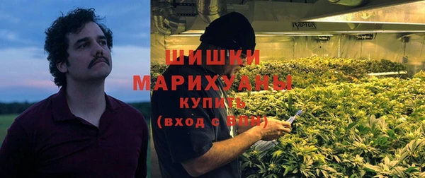 гидропоника Алзамай