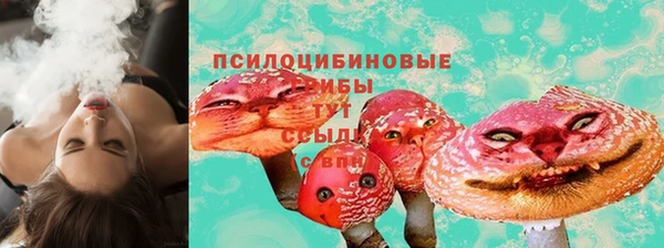 гидропоника Алзамай