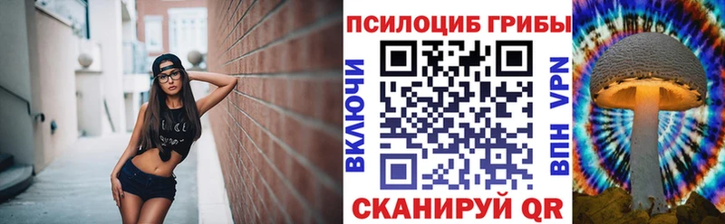 shop состав  Каневская  Галлюциногенные грибы прущие грибы 